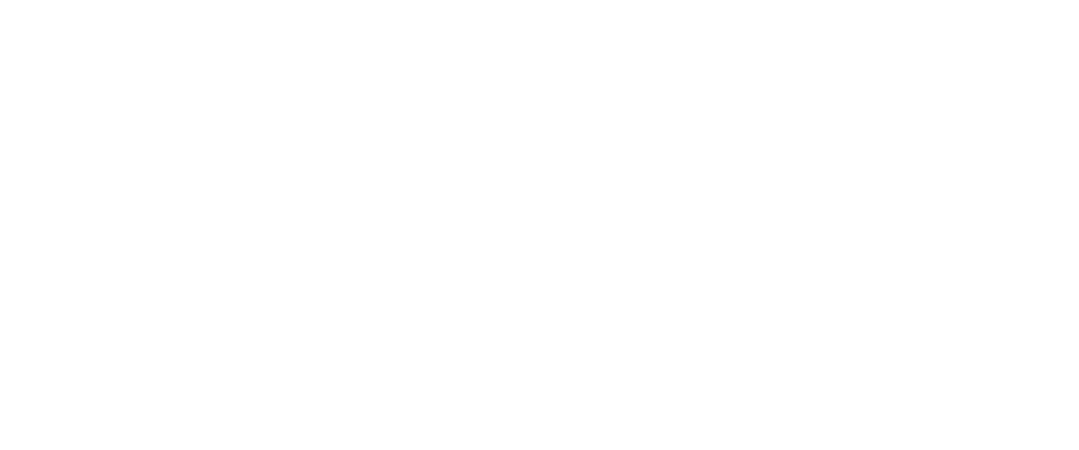 Logo — white — The Parent Exchange brand asset