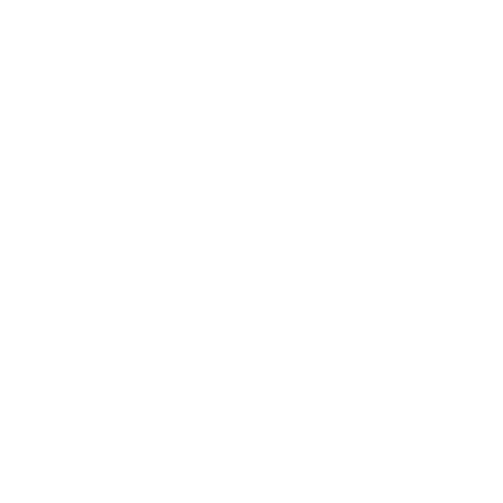 Mark — white — The Parent Exchange brand asset